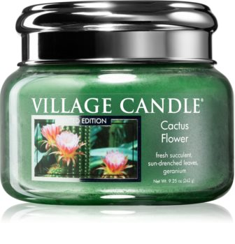 Bougie Jarre "Village Candle" Tradition Cactus Flower 262g