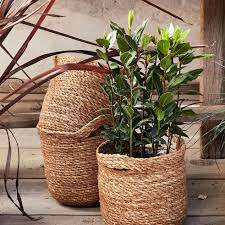 Pots & Fleuristerie