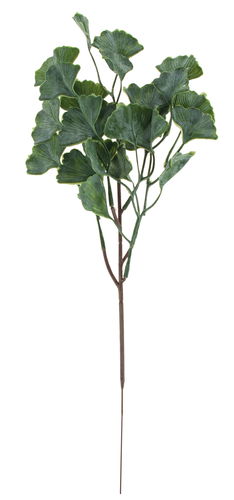 Branche de Ginkgo Vert Artificiel 40cm