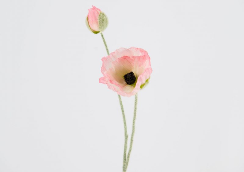 Coquelicot Rose "Flora" Artificiel H.68cm