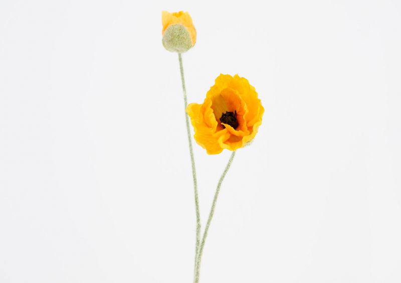 Coquelicot Jaune "Flora" Artificiel H.68cm