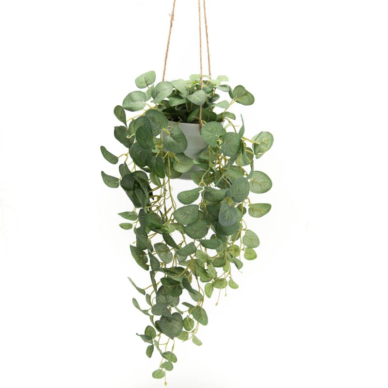 Eucalyptus Artificiel en Pot à Suspendre 62x10x10cm