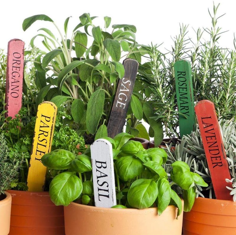 Bougie Jarre "Village Candle" Herb Garden 262g – Image 2