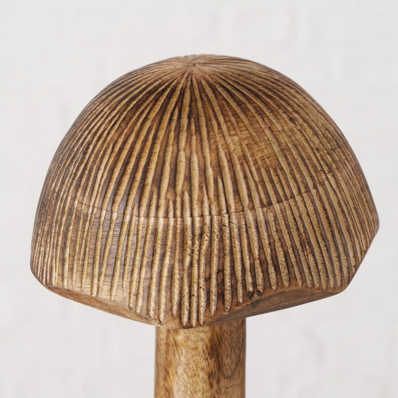 Champignon "Kouna" à Poser en Manguier H.25cm – Image 6