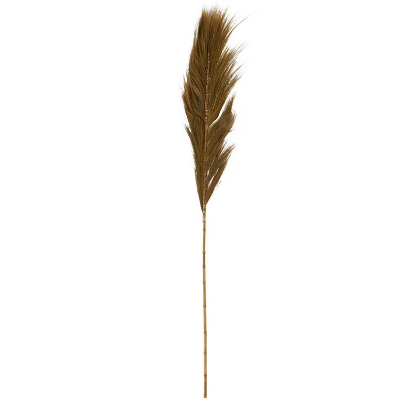 Plume Décorative Fleur de Rayung 12x8x200cm