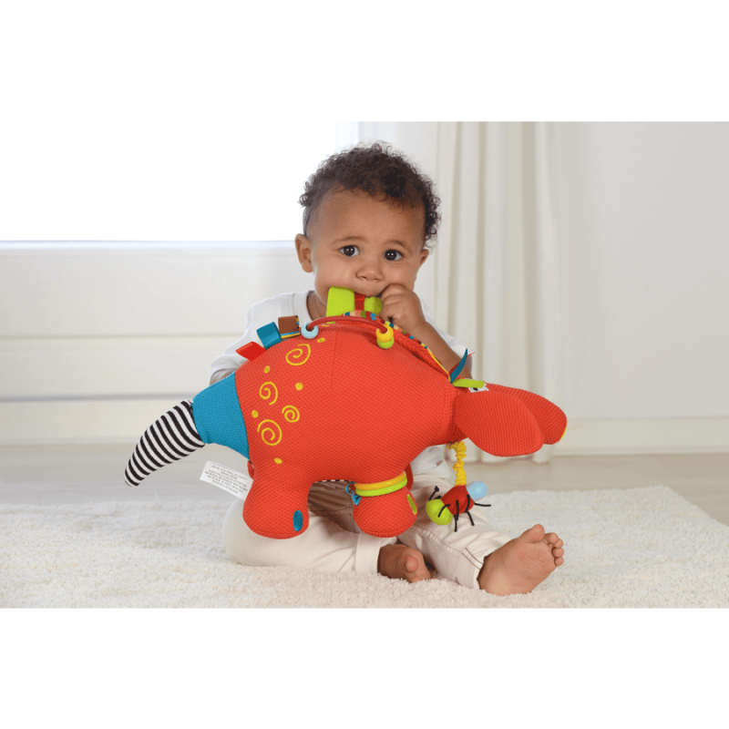 Peluche d'Activité "Aardvark Archie" - 25 cm – Image 3