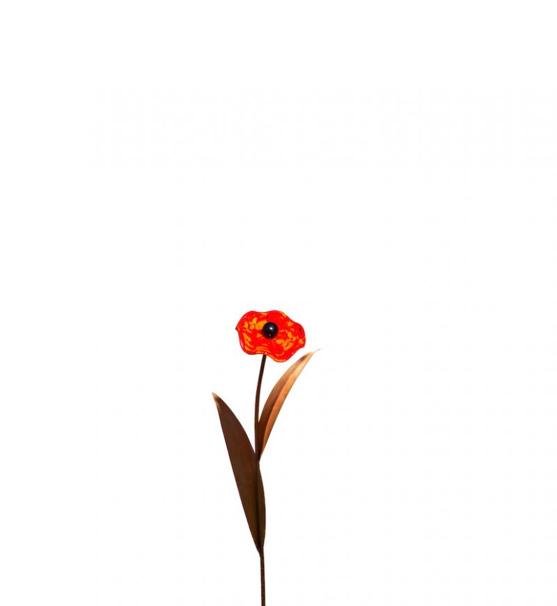 Coquelicot à Piquer en Métal Rouillé et Fleur en Verre ø 10cm, Divers Coloris, 20xH.70cm – Image 4
