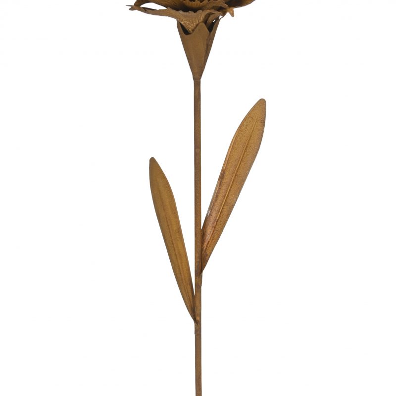 Piquet Fleurs en Métal Rouillé ø14xh70cm