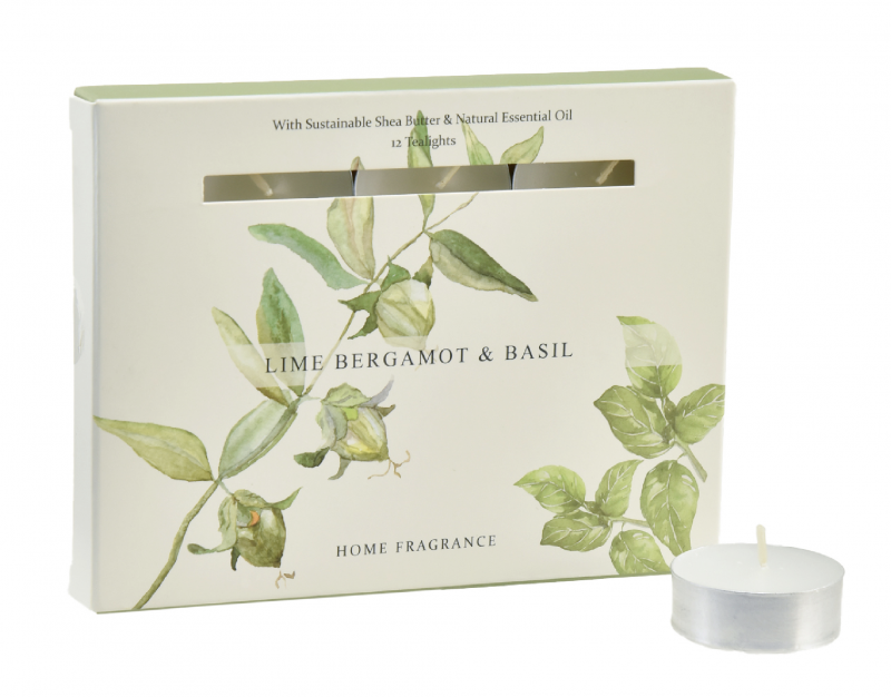 Set de 12 Bougies Chauffe-Plat Senteur Bergamote, Limette et Basilic au Beurre de Karité et Huiles Essentielles ø3,5cm