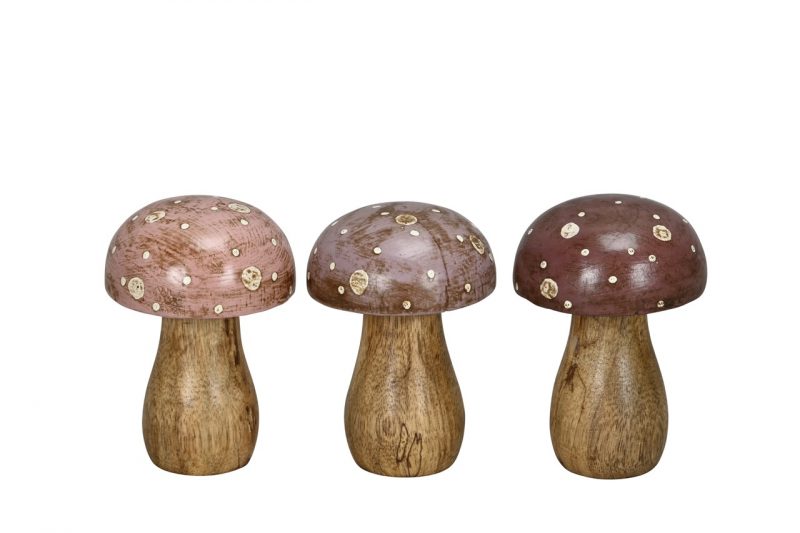 Champignon en Bois Natuel, Chapeau 3 Couleurs au Choix ø7xH10cm