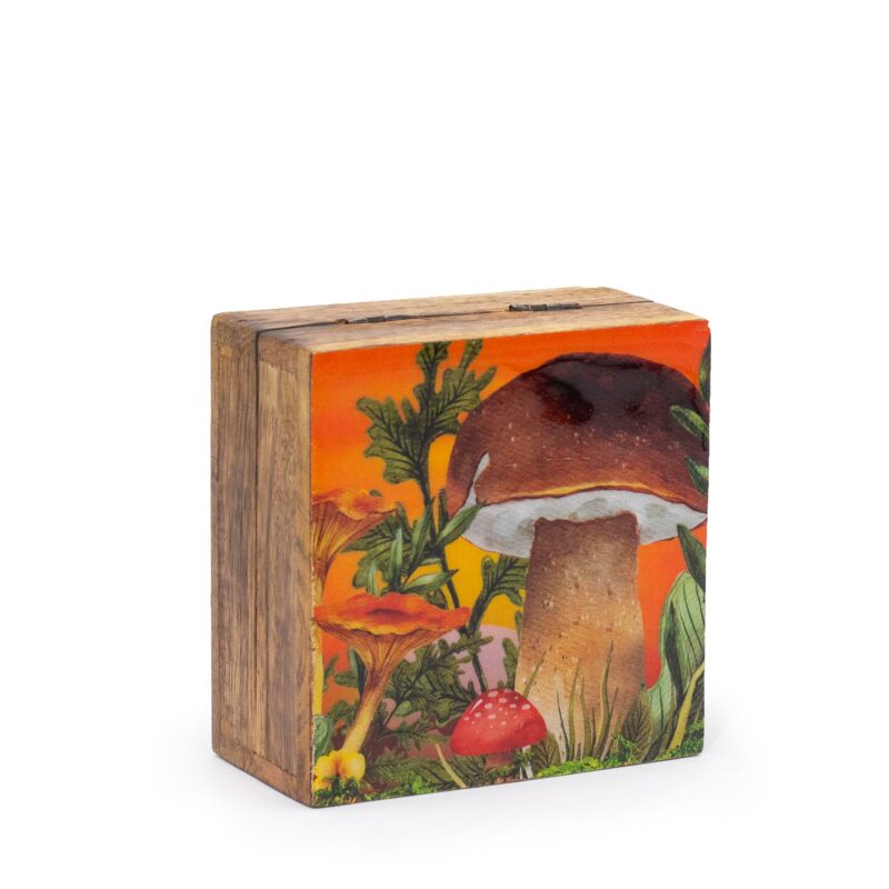 Petite Boîte Carrée Émaillée 10x10x4,2 cm – Champignon Marron