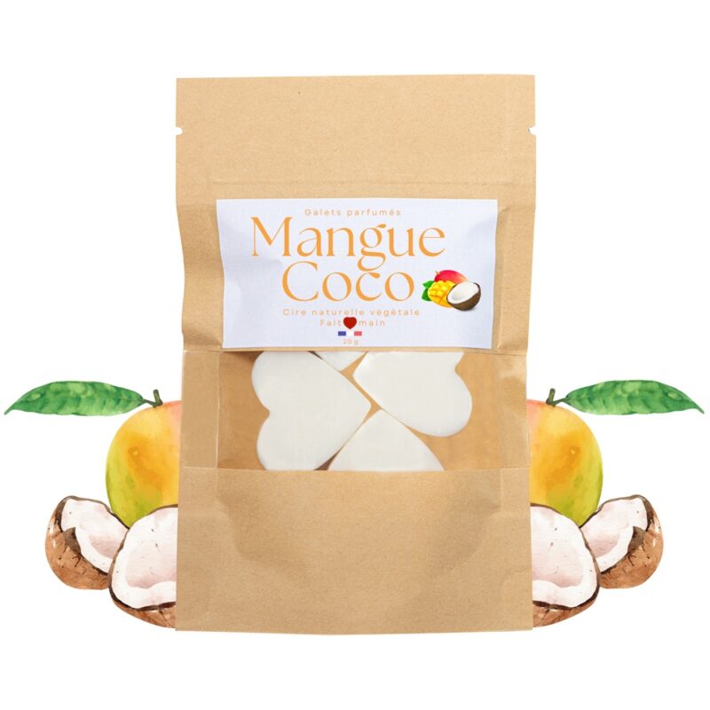 Fondants Naturels Parfumés, 20gr. Cire Végétale, Senteur au Choix – Image 8