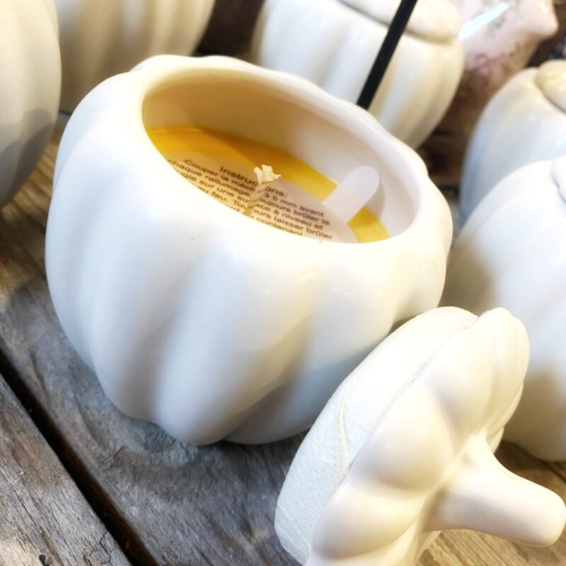 Bougie Naturelle 100% Cire de Soja, Parfum Citrouille Blanche Ambrée, Pot Citrouille en Céramique, 35H