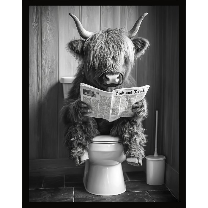 Tableau Encadré "Highland News" 40x50cm