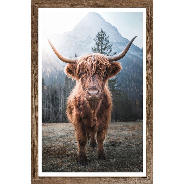 Tableau Encadré "Highland Nature" 50x70cm